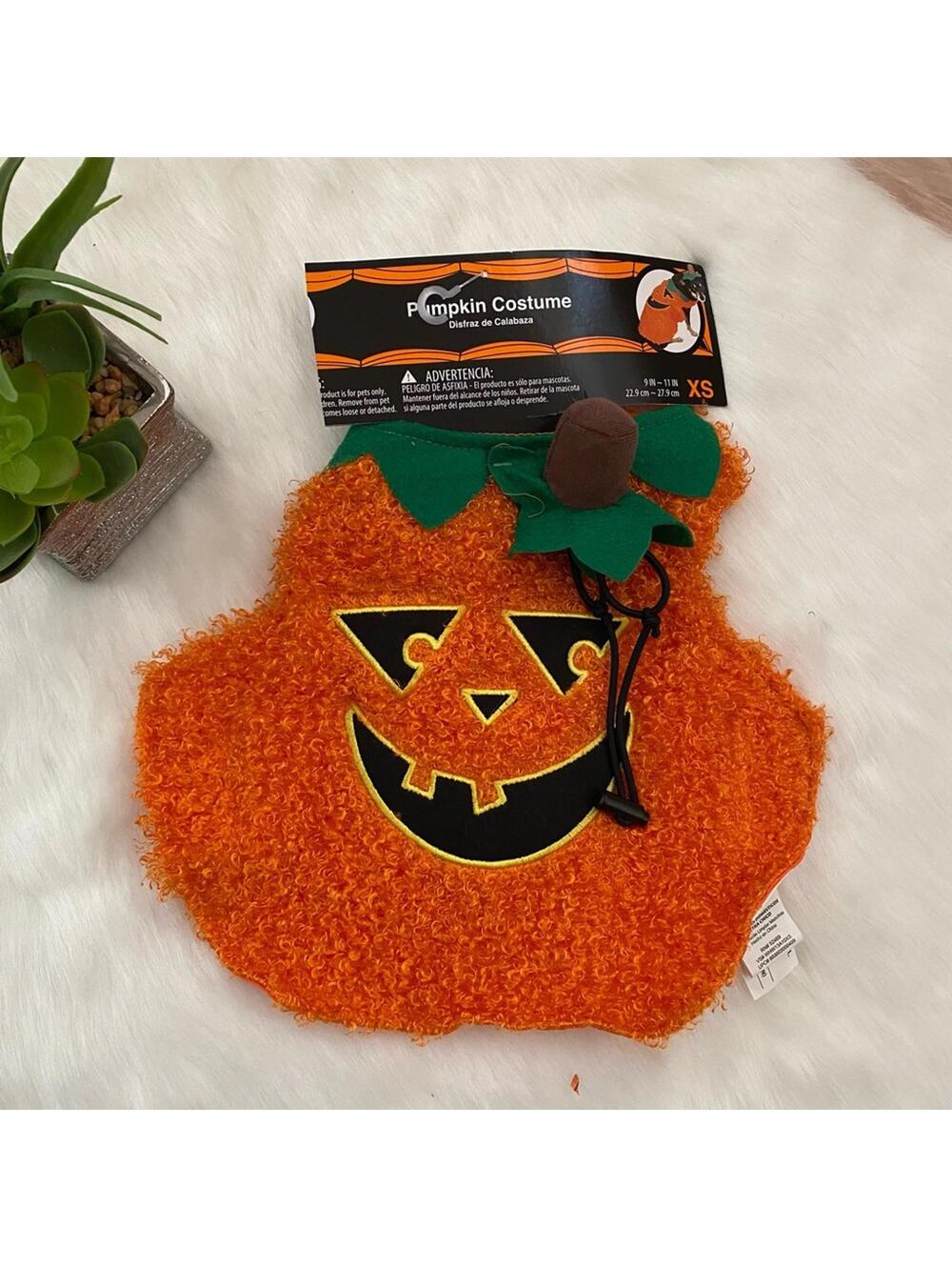Pumpkin Dog Costume XS